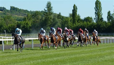 Classement des meilleurs sites de turf (paris hippiques) .